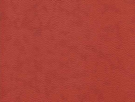 Importer leather 88 leathercollection 系列 真皮 牛皮 沙發皮革 T9690 暗橙色 雲彩